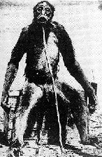 UMA・未確認生物物体の謎！世の中の不思議都市伝説まとめ